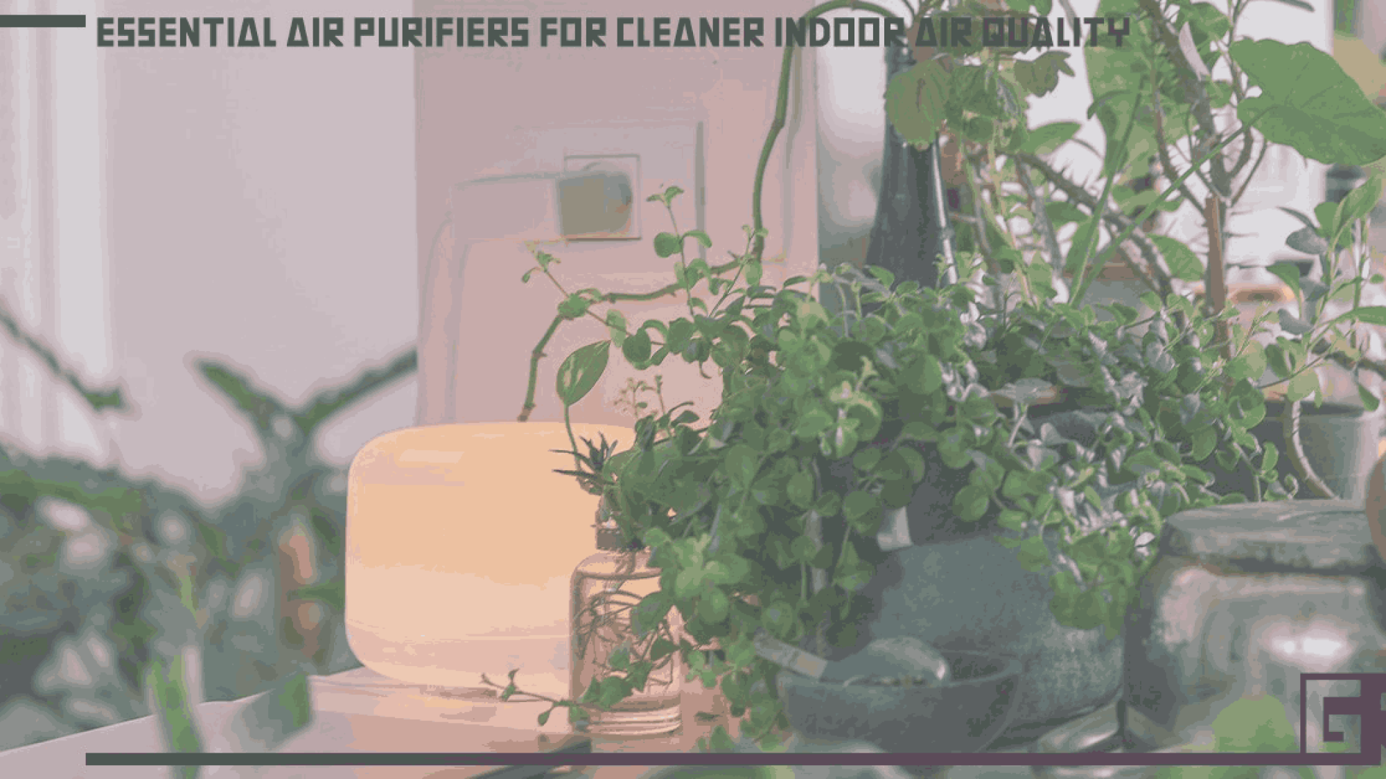 essential-air-purifiers-for-cleaner-indoor-air-quality