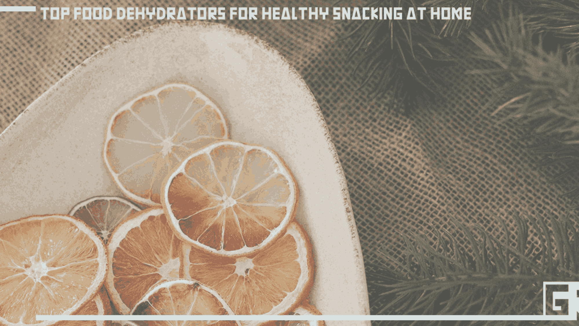 top-food-dehydrators-for-healthy-snacking-at-home